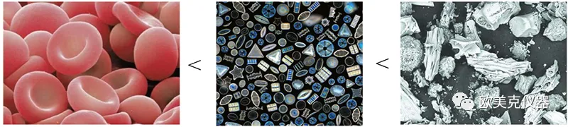 �ļ{�����ȃx���������ȃxԭ��������x�����Ȝy(c��)ԇ����,�Lɳ�x����˾_�Lɳ�x��������_���σx���S��