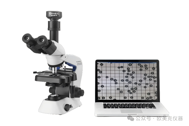 靜態圖像系�?1.png 靜態圖像系�?1.png