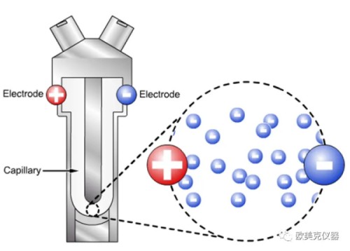 圖片5.jpg 圖片5.jpg